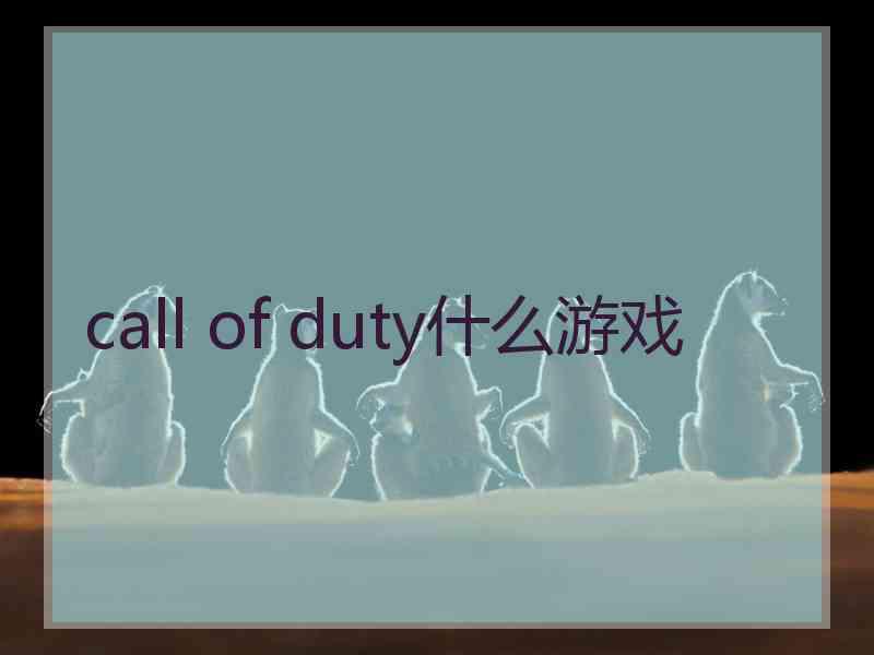 call of duty什么游戏