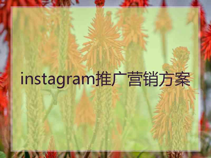 instagram推广营销方案