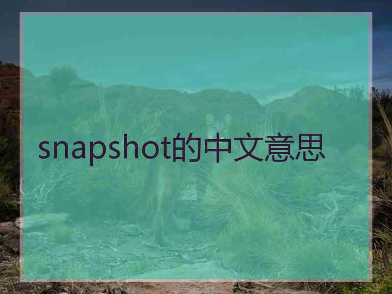 snapshot的中文意思