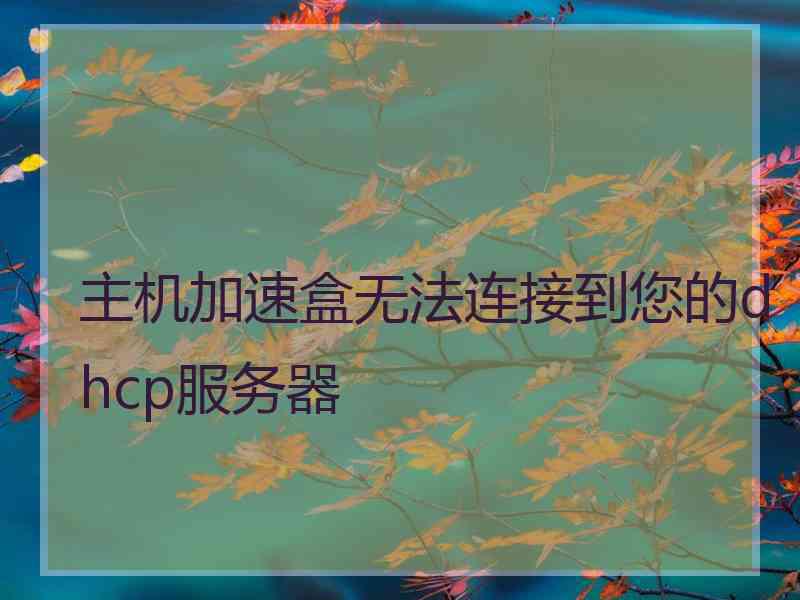 主机加速盒无法连接到您的dhcp服务器