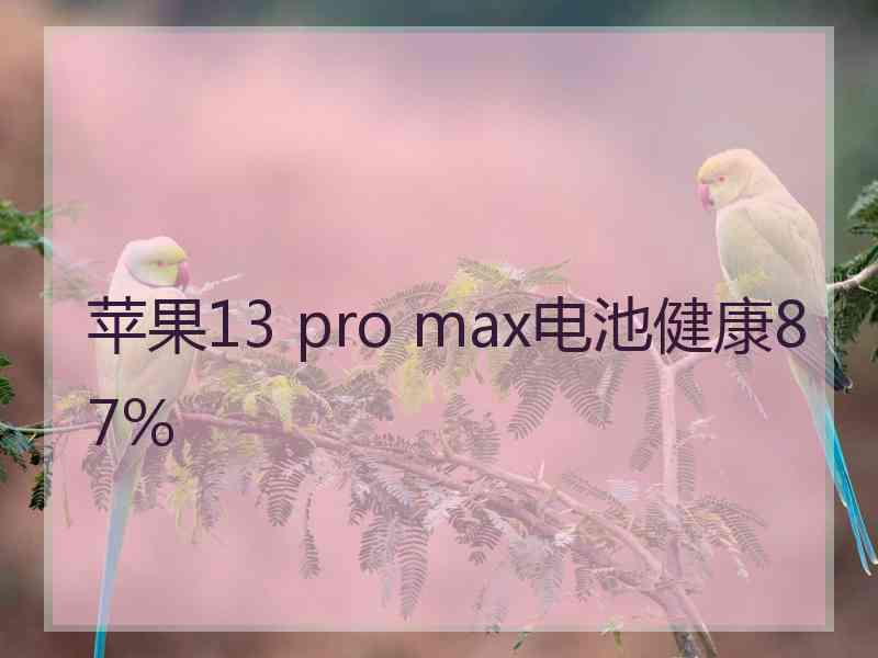 苹果13 pro max电池健康87%