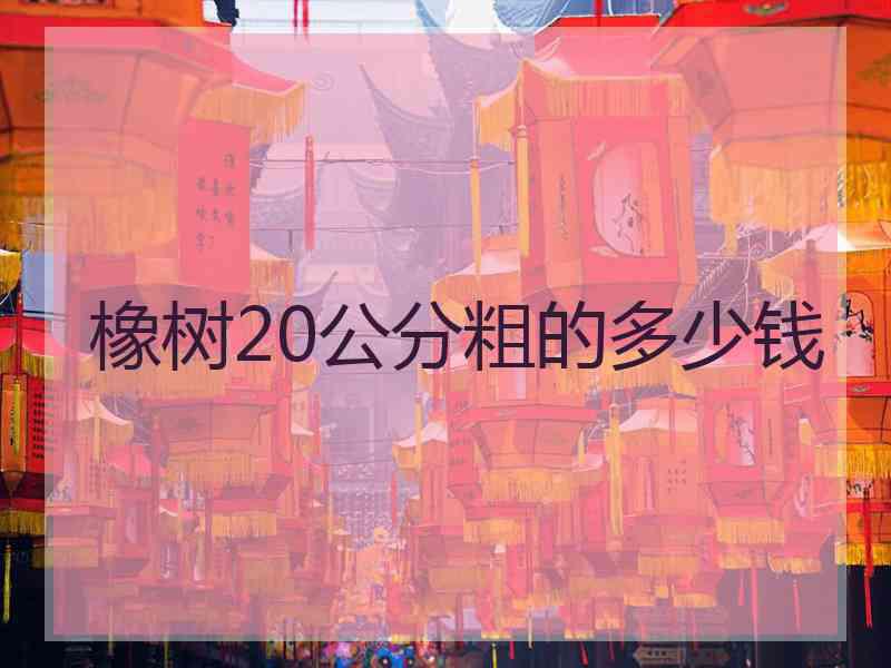 橡树20公分粗的多少钱