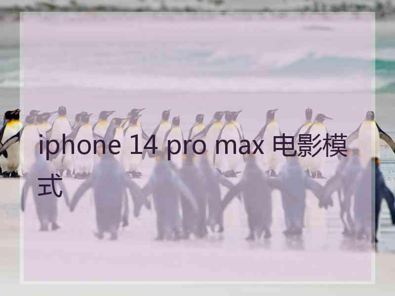 iphone 14 pro max 电影模式