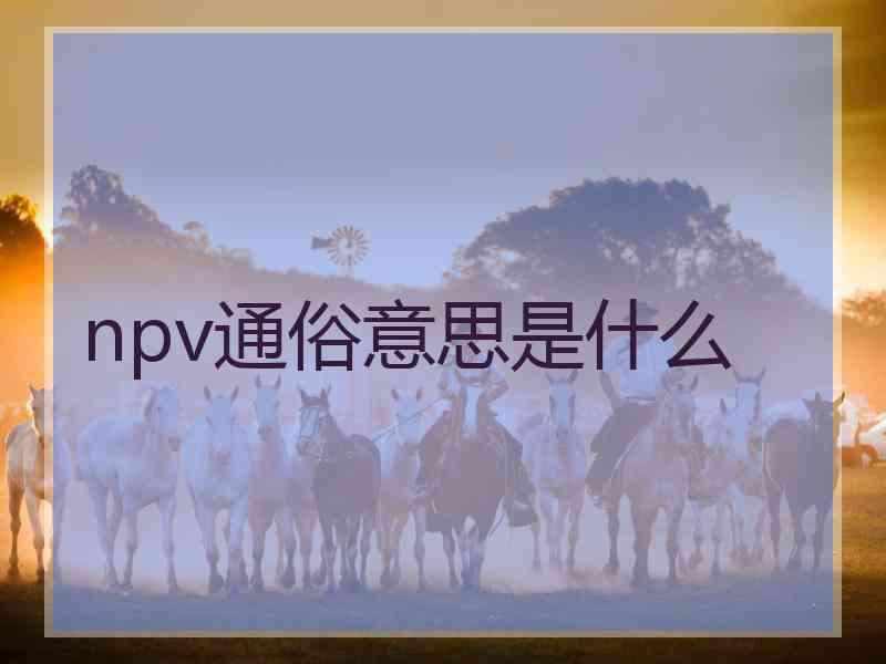 npv通俗意思是什么