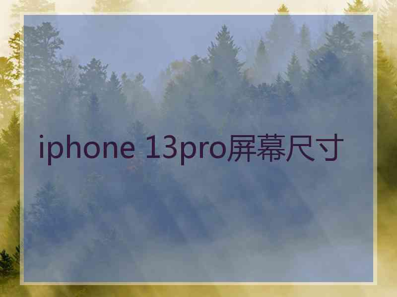 iphone 13pro屏幕尺寸