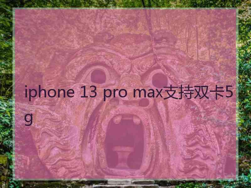 iphone 13 pro max支持双卡5g