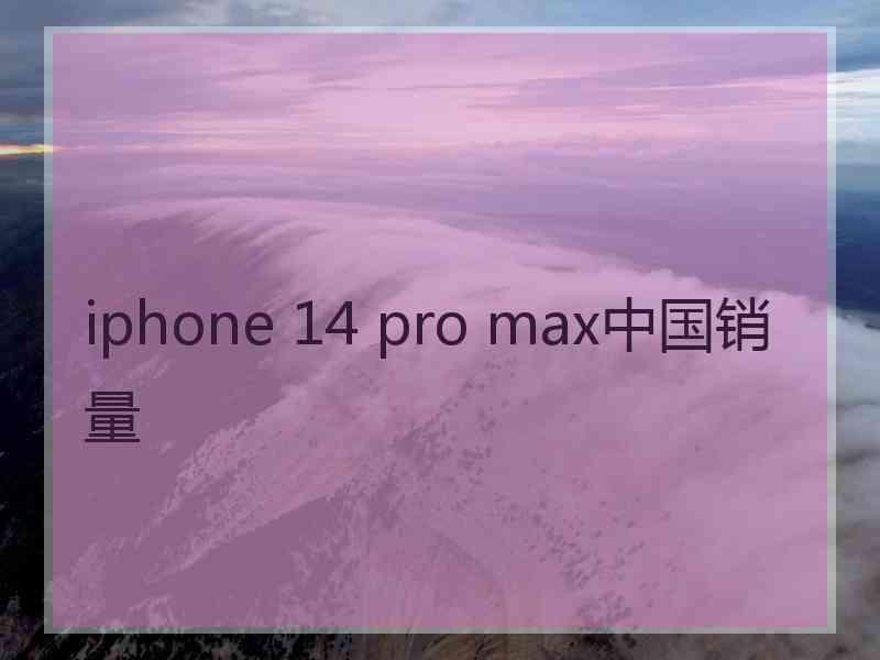 iphone 14 pro max中国销量