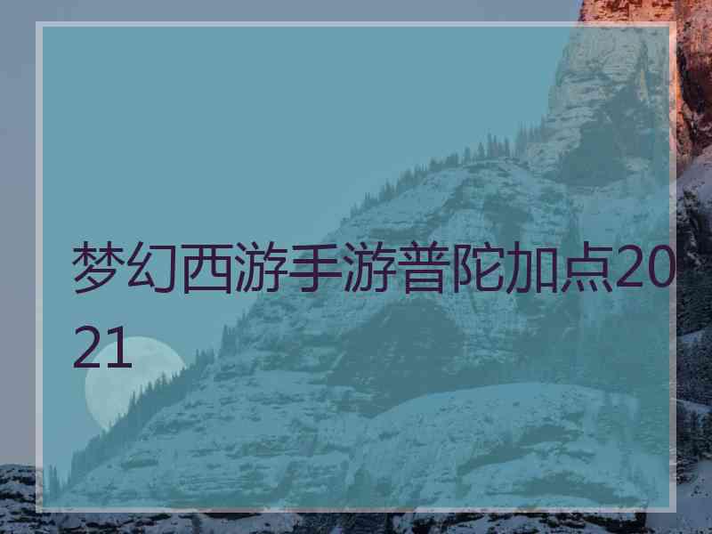 梦幻西游手游普陀加点2021