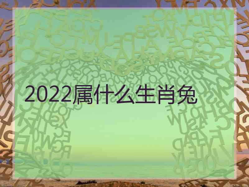 2022属什么生肖兔