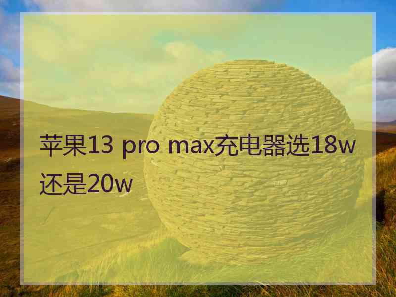 苹果13 pro max充电器选18w还是20w