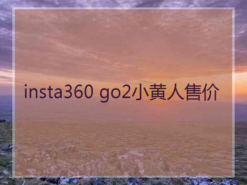 insta360 go2小黄人售价