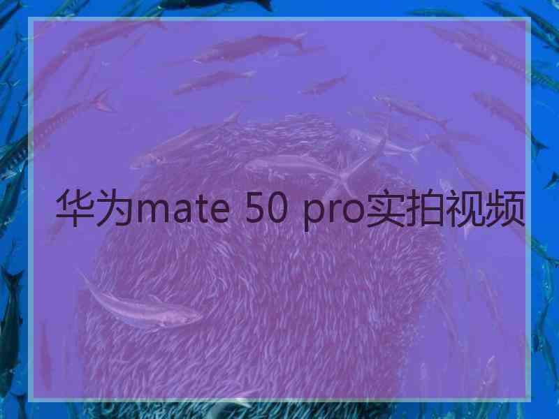 华为mate 50 pro实拍视频