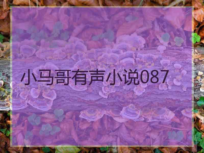 小马哥有声小说087