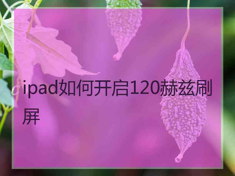 ipad如何开启120赫兹刷屏