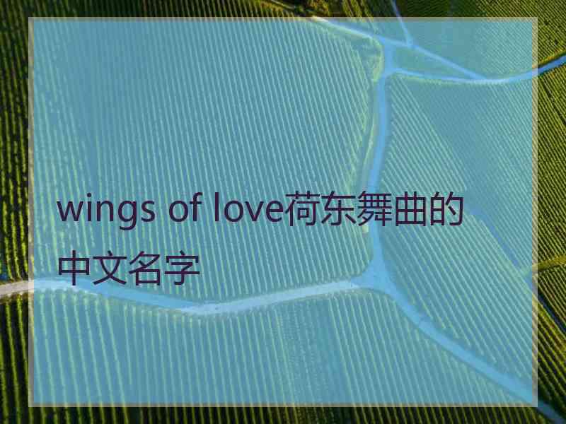 wings of love荷东舞曲的中文名字