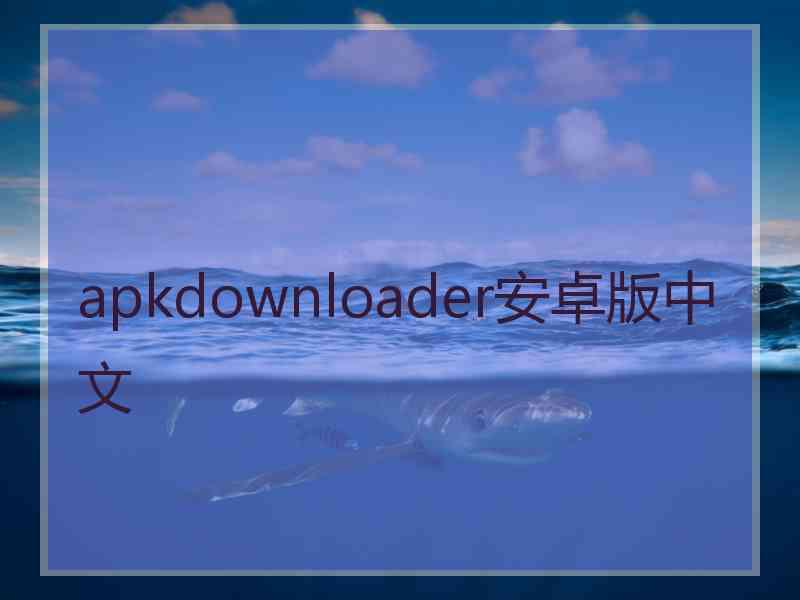 apkdownloader安卓版中文