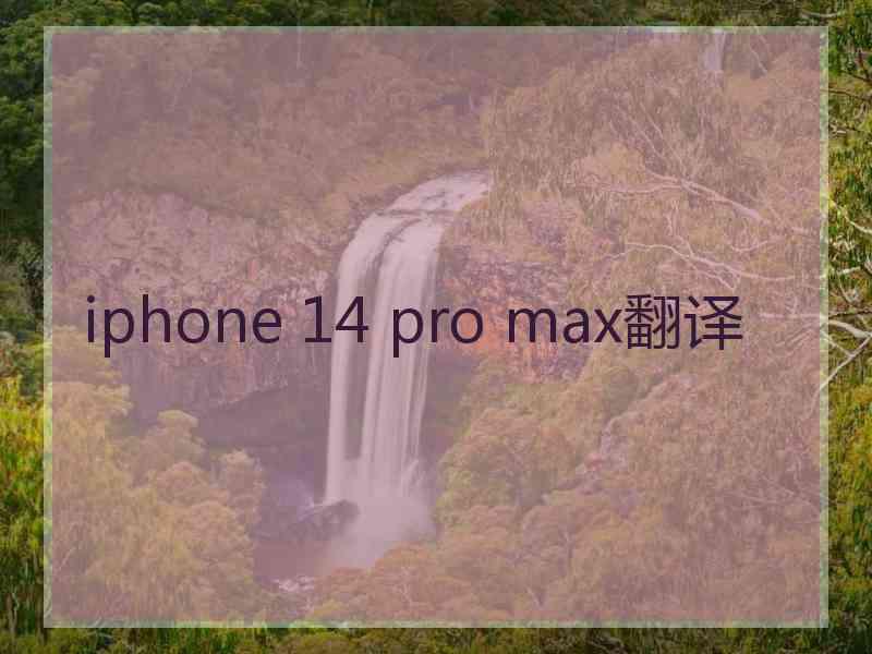 iphone 14 pro max翻译