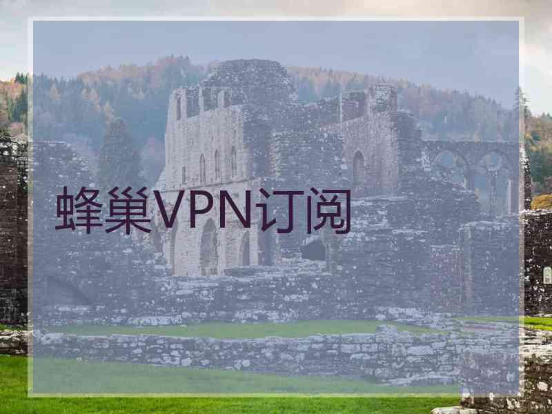 蜂巢VPN订阅