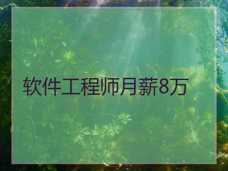 软件工程师月薪8万