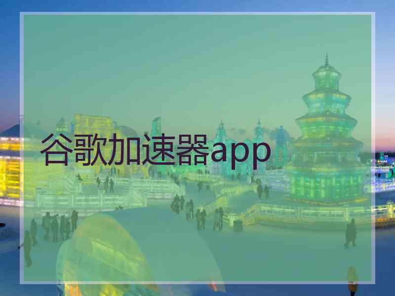 谷歌加速器app