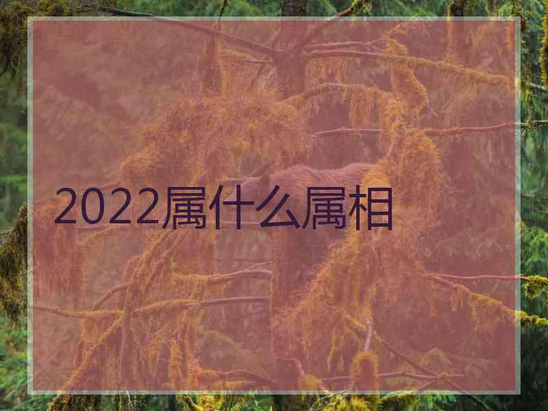 2022属什么属相