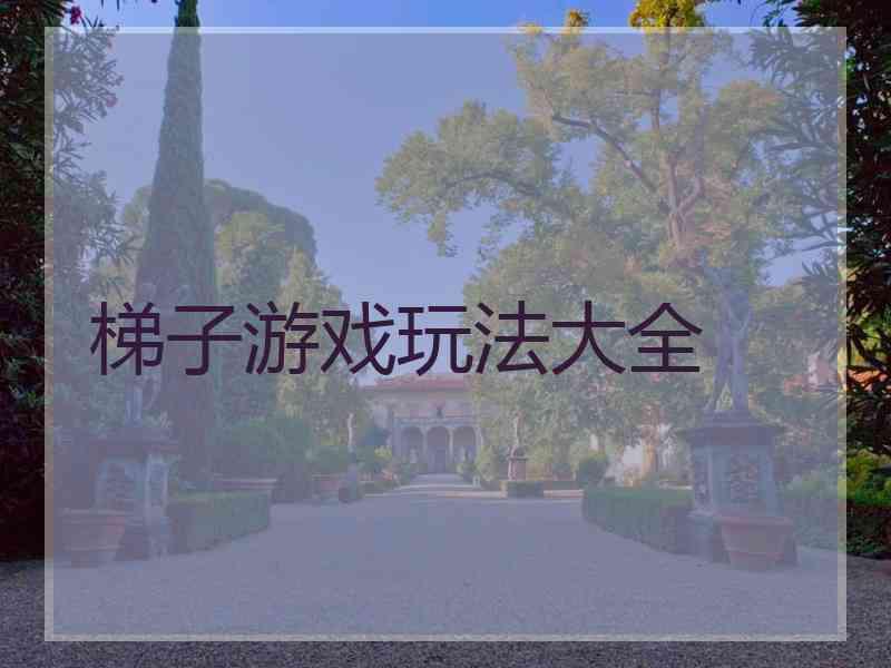 梯子游戏玩法大全