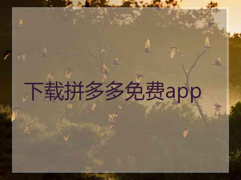 下载拼多多免费app