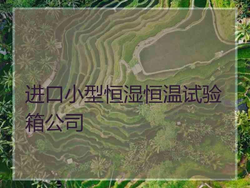 进口小型恒湿恒温试验箱公司