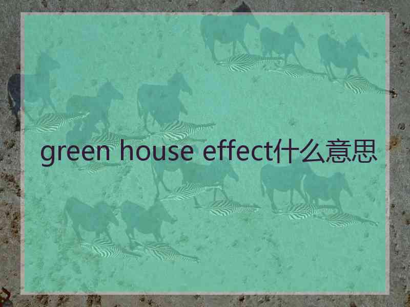 green house effect什么意思