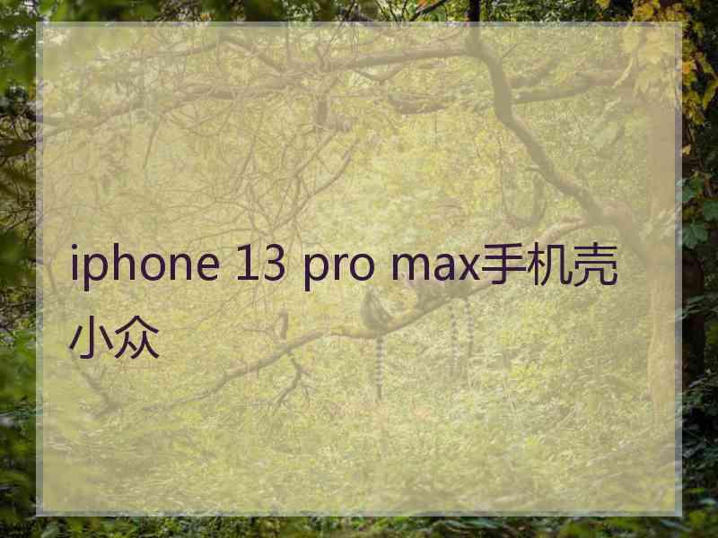 iphone 13 pro max手机壳小众