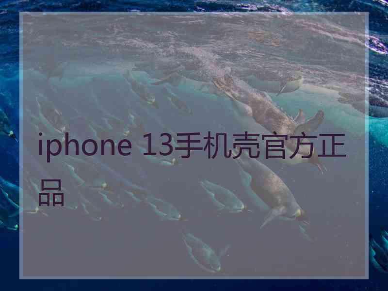 iphone 13手机壳官方正品