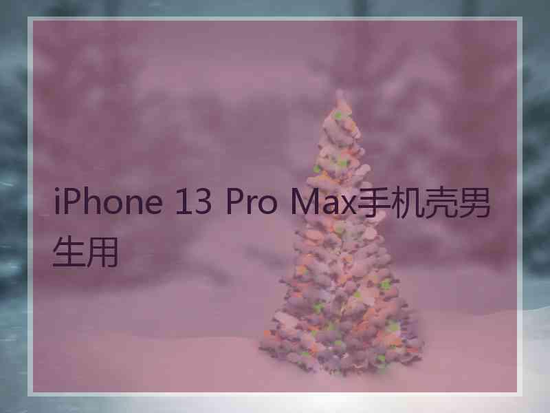 iPhone 13 Pro Max手机壳男生用