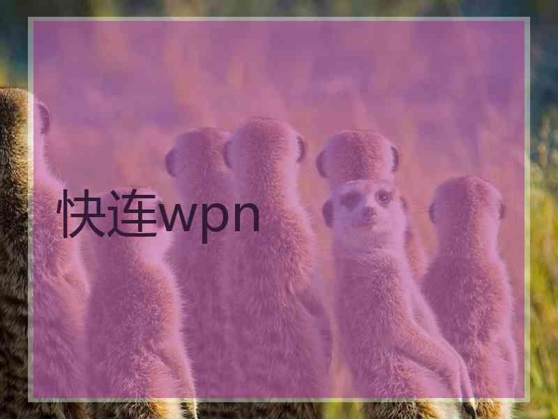 快连wpn