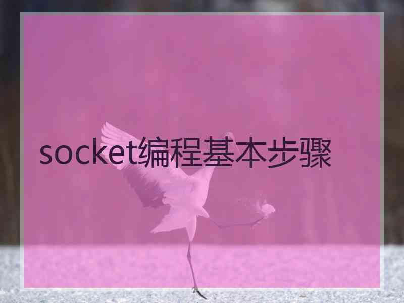 socket编程基本步骤