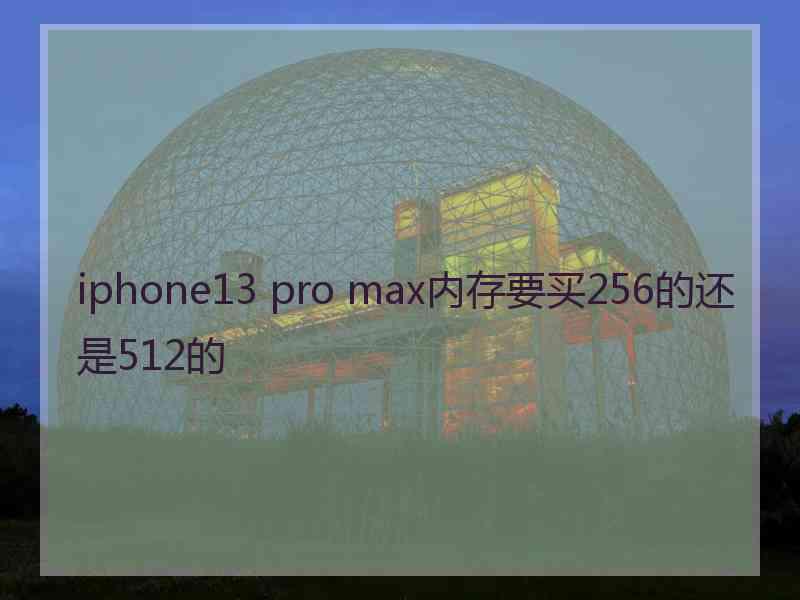 iphone13 pro max内存要买256的还是512的