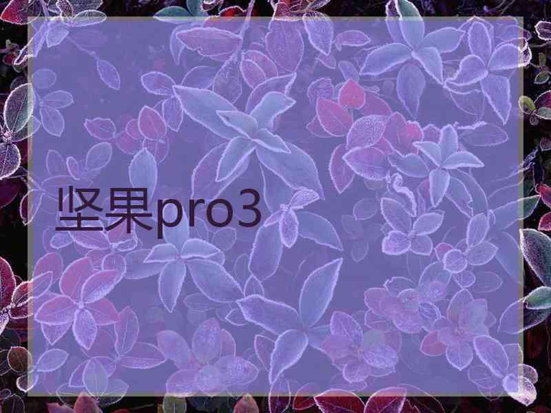 坚果pro3