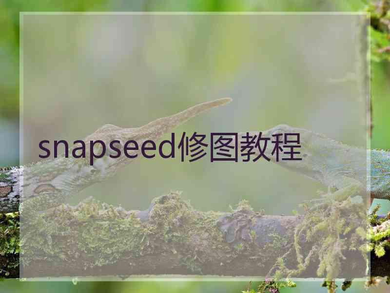 snapseed修图教程