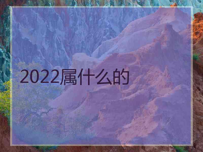 2022属什么的