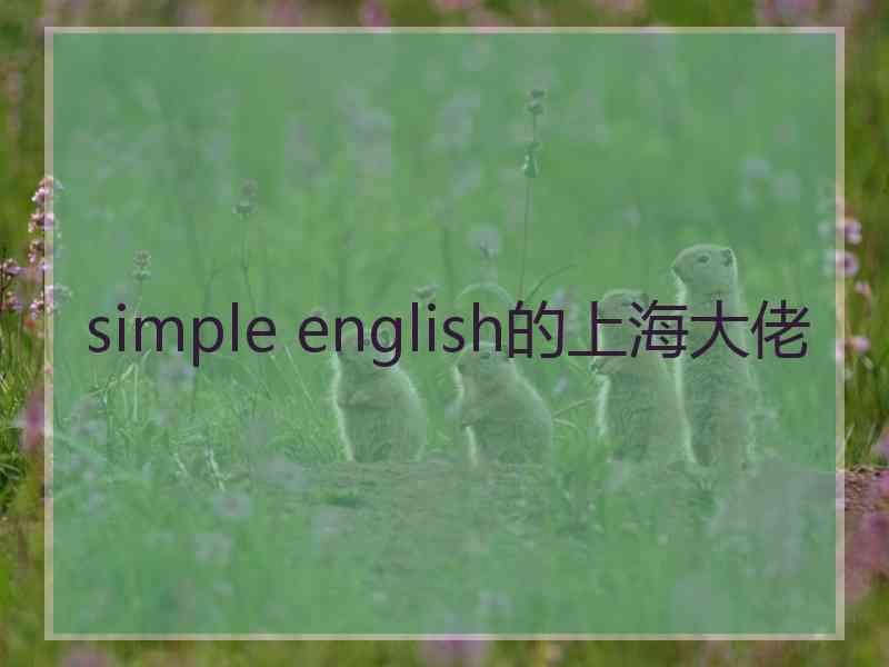 simple english的上海大佬