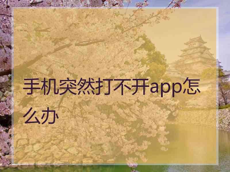 手机突然打不开app怎么办