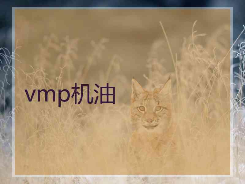 vmp机油