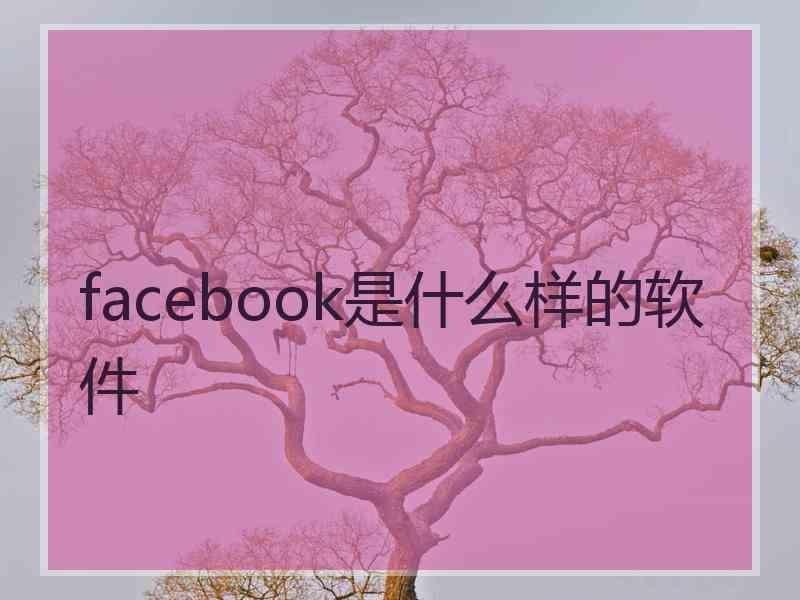 facebook是什么样的软件