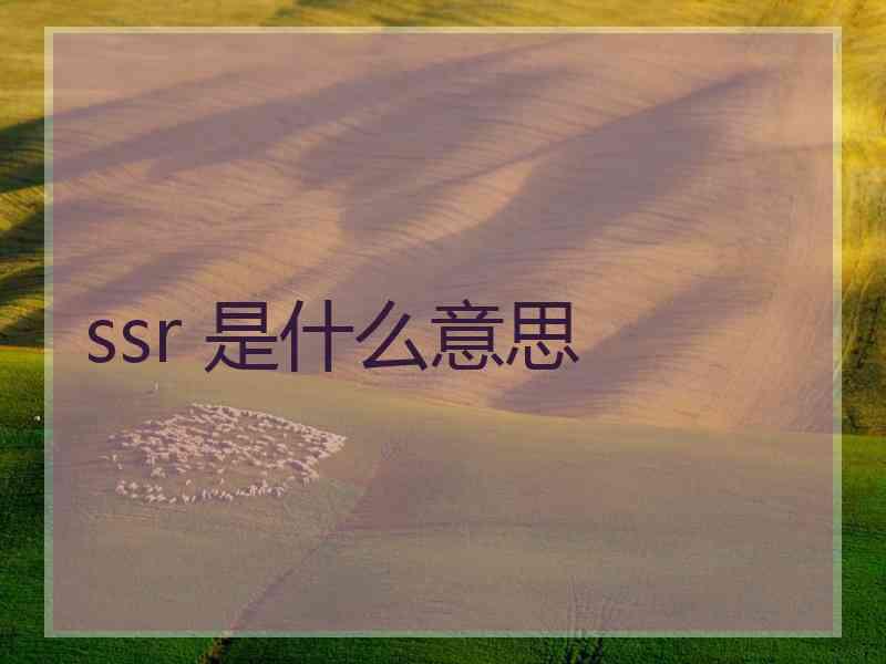 ssr 是什么意思