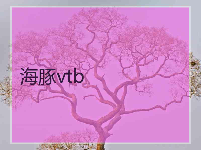 海豚vtb