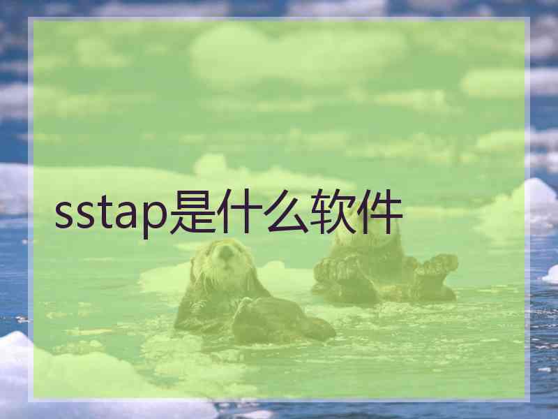 sstap是什么软件