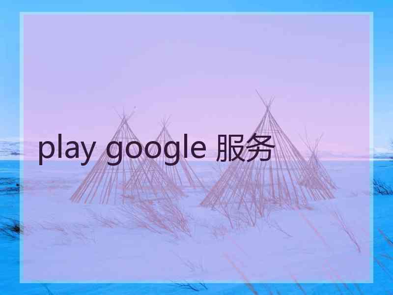 play google 服务