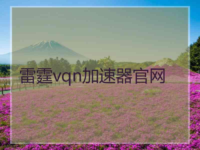 雷霆vqn加速器官网