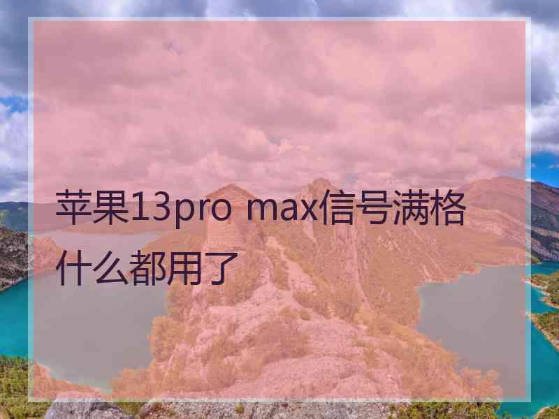 苹果13pro max信号满格什么都用了