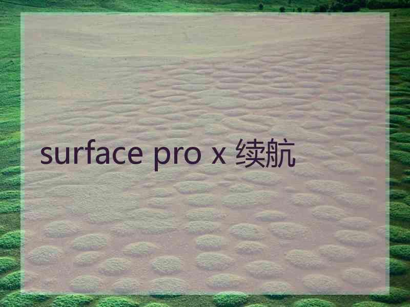 surface pro x 续航