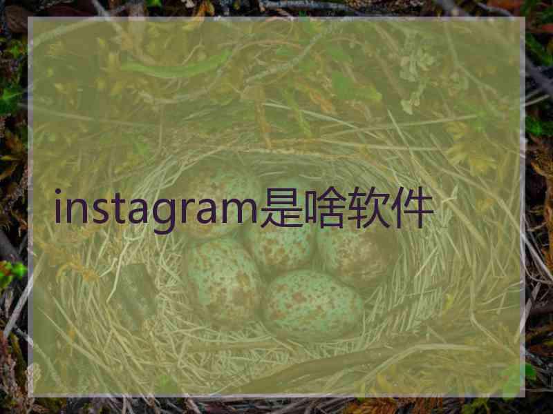 instagram是啥软件